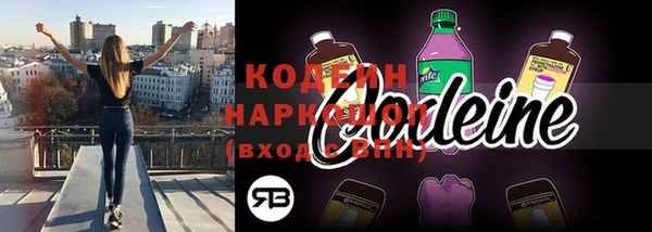 индика Володарск