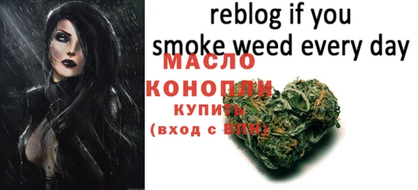 индика Володарск