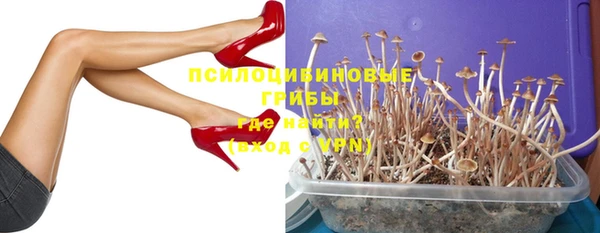 гидра Волоколамск