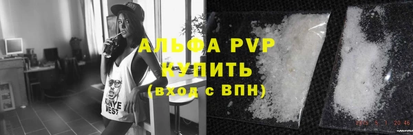 индика Володарск
