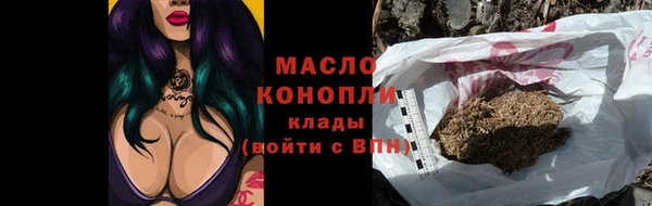 индика Володарск