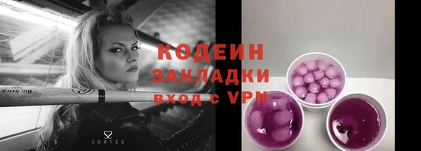 индика Володарск