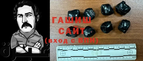 индика Володарск
