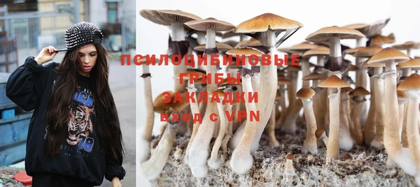 индика Володарск