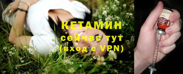 индика Володарск