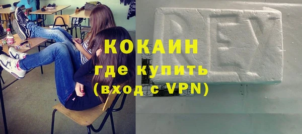 индика Володарск