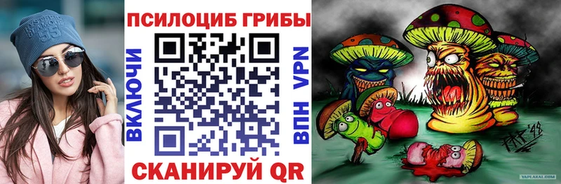 Псилоцибиновые грибы Psilocybe  Купить  Сухиничи 